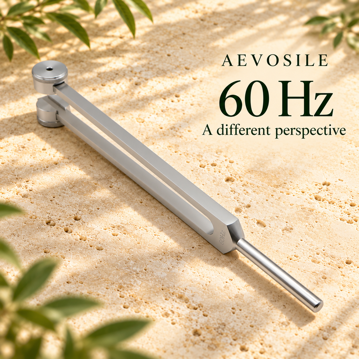 60 Hz Weighted Tuning Fork