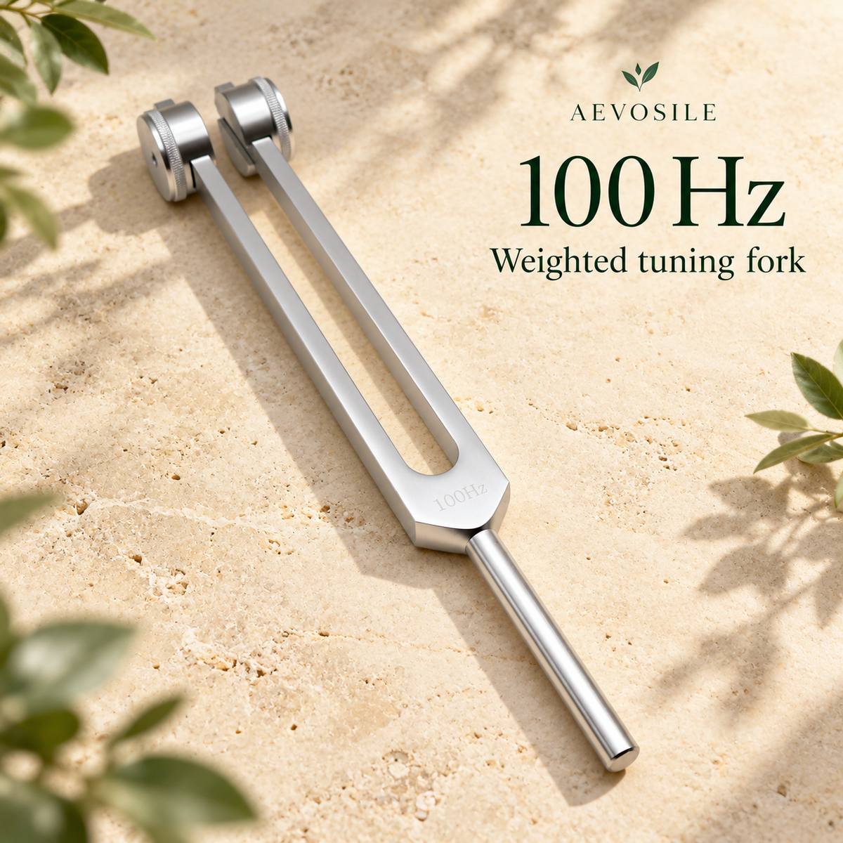 100 Hz Weighted Tuning Fork